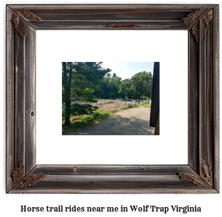 horse trail rides near me in Wolf Trap, Virginia